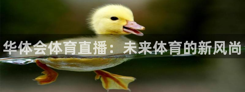 华体会体育直播：未来体育的新风尚