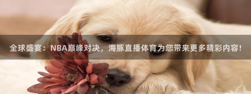 全球盛宴：NBA巅峰对决，海豚直播体育为您带来更多精彩内容!