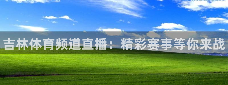 吉林体育频道直播：精彩赛事等你来战