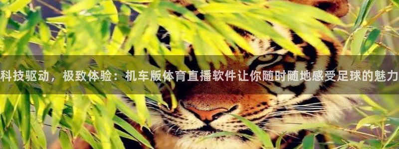 科技驱动，极致体验：机车版体育直播软件让你随时随地感受足球的魅力