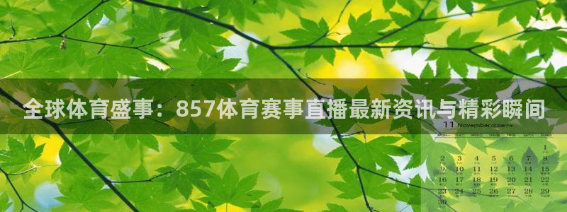 全球体育盛事：857体育赛事直播最新资讯与精彩瞬间