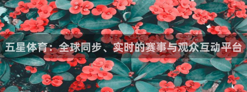 五星体育：全球同步、实时的赛事与观众互动平台