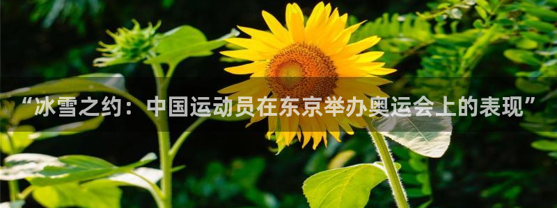 “冰雪之约：中国运动员在东京举办奥运会上的表现”