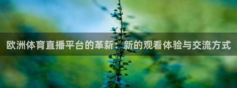 欧洲体育直播平台的革新：新的观看体验与交流方式