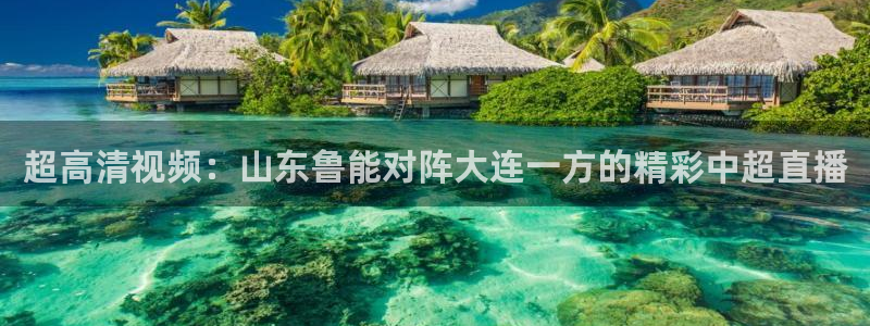 超高清视频：山东鲁能对阵大连一方的精彩中超直播