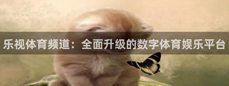 乐视体育频道：全面升级的数字体育娱乐平台