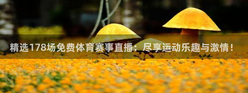 精选178场免费体育赛事直播：尽享运动乐趣与激情！