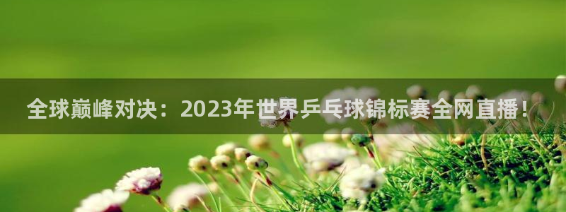 全球巅峰对决：2023年世界乒乓球锦标赛全网直播！