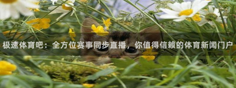 极速体育吧：全方位赛事同步直播，你值得信赖的体育新闻门户