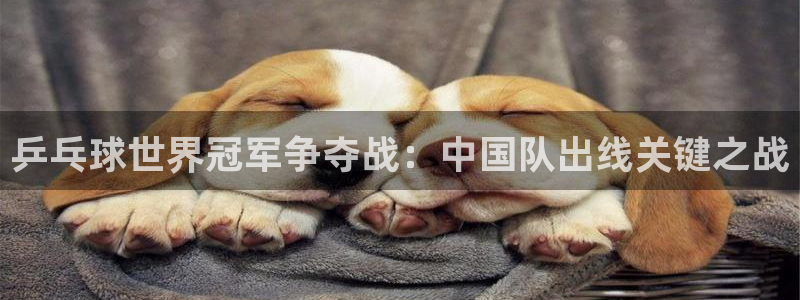乒乓球世界冠军争夺战：中国队出线关键之战